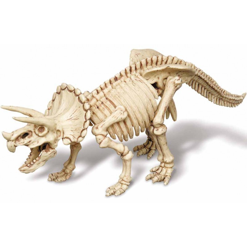 4M Kidzlabs – Kit Scavo Archeologico Velociraptor – Diventa Un Paleontologo E Scava Il Teschio Di Dinosauro