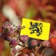 Petit Travel Flag Flandres
