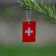 Petit Travel Flag Suisse