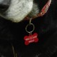 Travel Tag - "Woof! Track the Geodog!" - Rouge