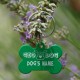 Travel Tag - "Woof! Track the Geodog!" - Rouge