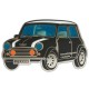 Geo-Mini Geocoin - Black