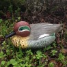 Cache Canard