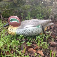 Cache "Canard"