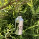 Gourde Argent 500ml - T5