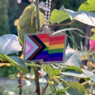 Progress Flag Travel Tag