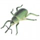 Cache "Créature" Insecte - Gros Scarabée Vert