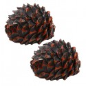 Small Cache "Pomme de pin" - Lot de 2