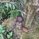 Small Cache 