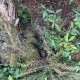 Small Cache 