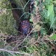Small Cache 