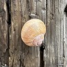 Cache Escargot magnétique