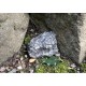 Small Cache "Pierre" - Lot de 2