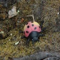 Micro Cache 