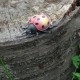 Micro Cache 