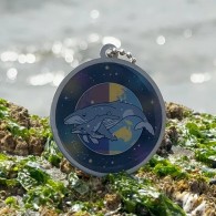2026 June Solstice Travel Tag