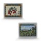 2026 Summer Solstice Geocoin